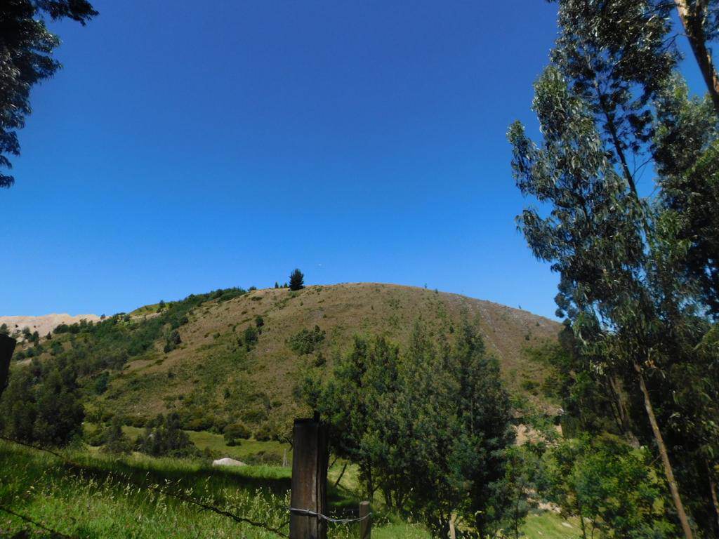 Farallones
